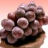 Искусственное опыление кистей винограда
